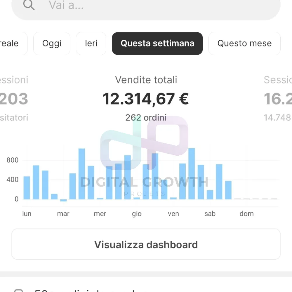 Dashboard Shopify con le vendite di uno studente